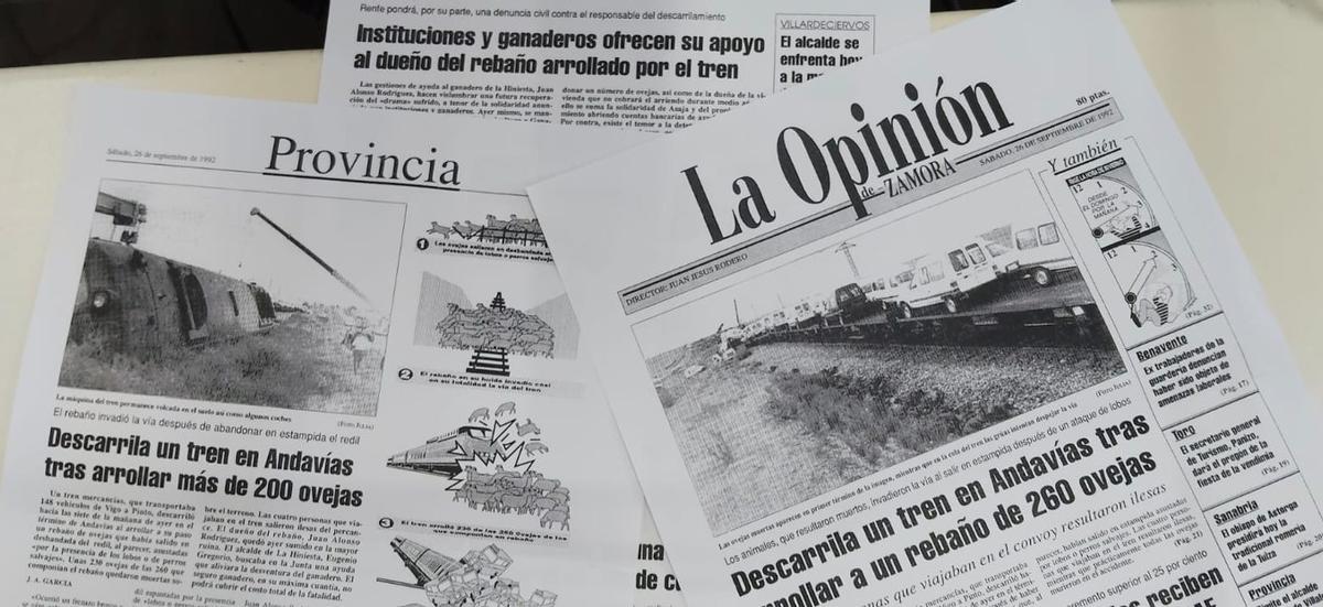 Noticias sobre el arrollamiento de un rebaño de ovejas recogidas por LA OPINIÓN DE ZAMORA. | LOZ