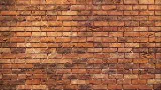 Los materiales de construcción que capturan carbono reducen el impacto del cambio climático