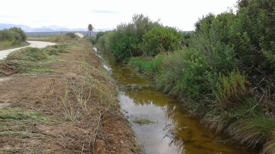 Limpieza de torrentes