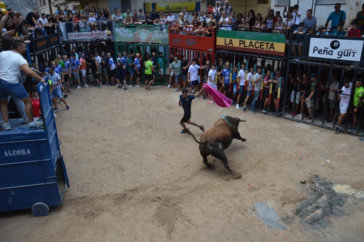 Otra foto del primer toro.