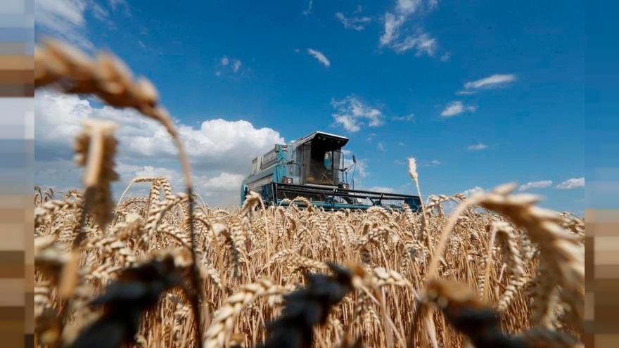siembra y recogida del cereal. Hace casi tres meses que no se ve esta imagen en Ucrania. Foto: E.P.