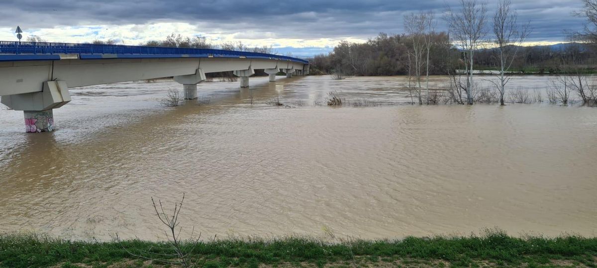 El río Ebro a su paso por Pradilla