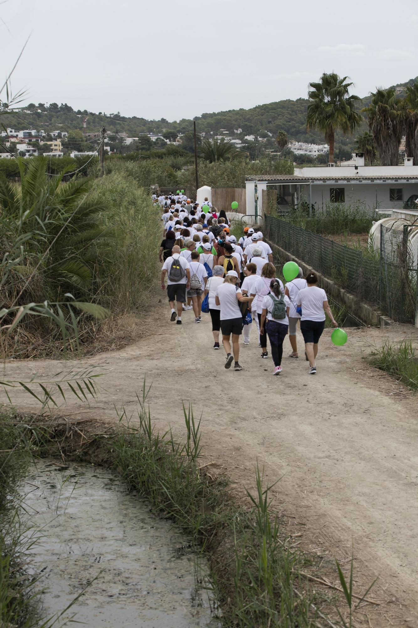 Rutas saludables durante la Semana de la Movilidad en Ibiza