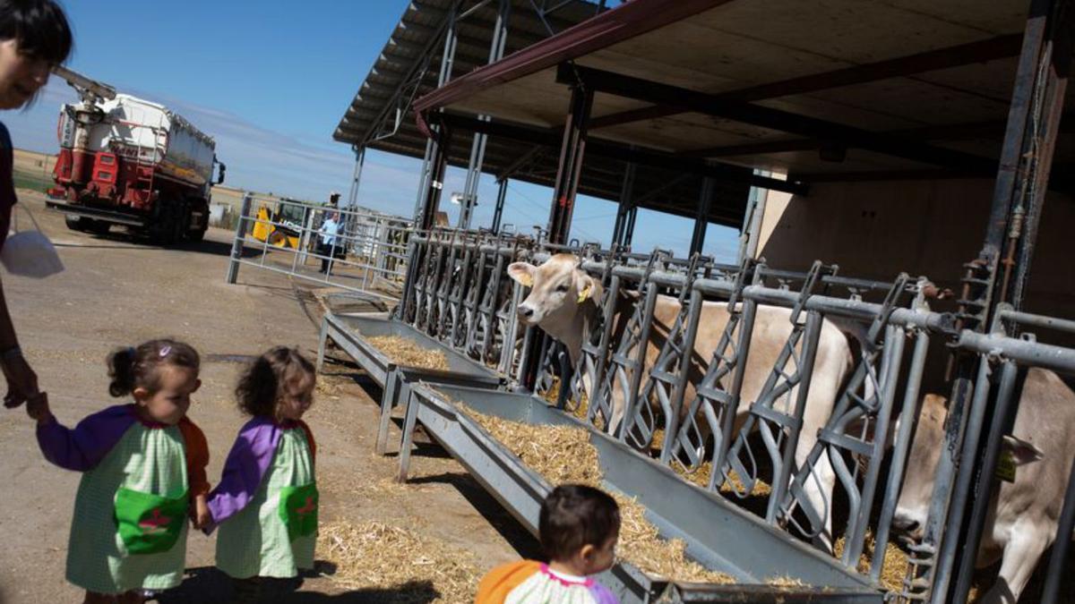 El fascinante viaje al origen de la leche