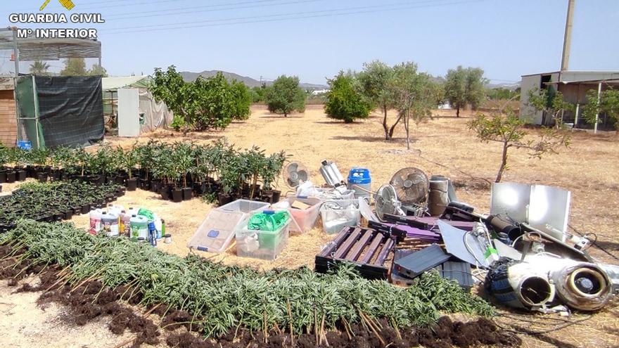 Plantas de marihuana retiradas del búnker junto a la maquinaria