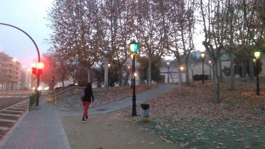 Heladas y niebla en el parque de San Martín.