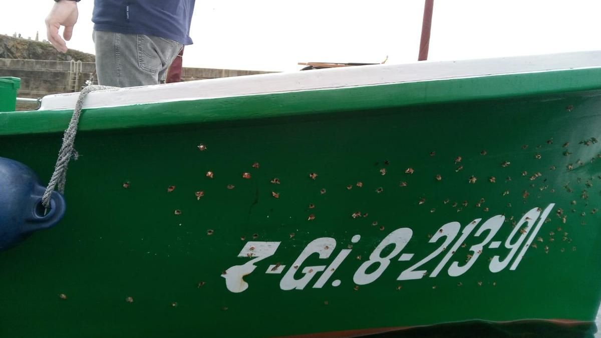 Estado en que quedó la lancha, totalmente agujereada.