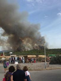 Im Gebiet von sa Canova im Nordosten von Mallorca ist am Mittwochnachmittag (17.8.) erneut ein Waldbrand ausgebrochen, nachdem es nur zwei Tage zuvor bereits gebrannt hatte. Das Feuer war gegen 2 Uhr nachts unter Kontrolle und zerstörte rund 23 Hektar Kiefernwald.