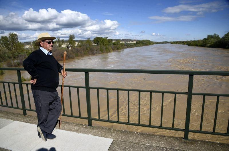 La crecida del Ebro se acerca a Zaragoza