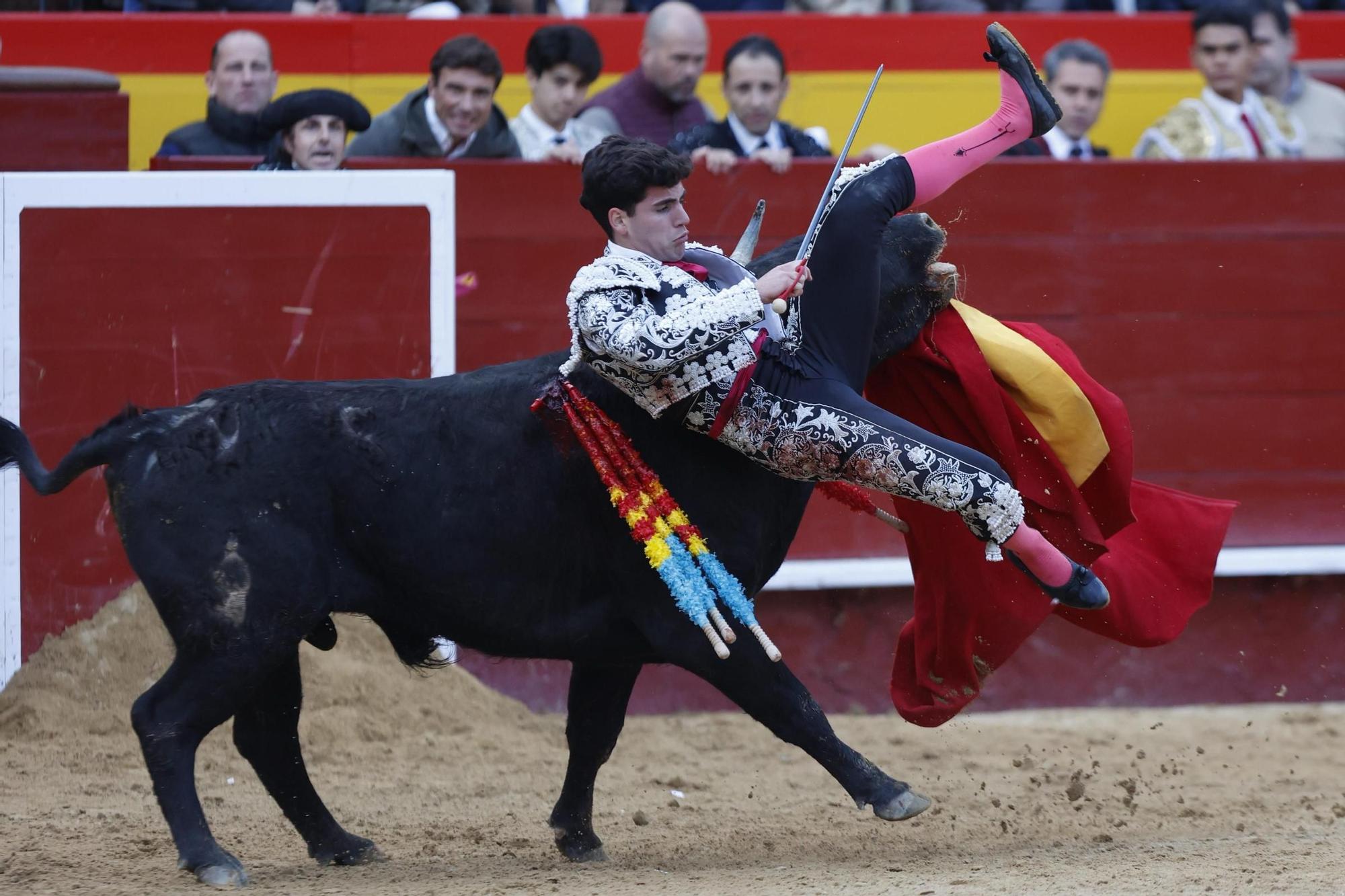 La novillada sin picadores de la Feria de Fallas, en imágenes
