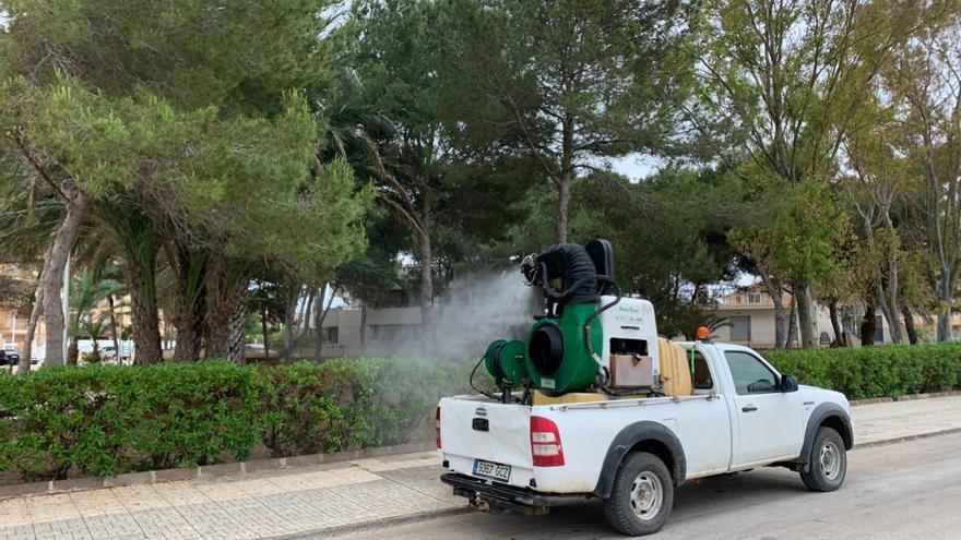 El Ayuntamiento de Cartagena inicia esta noche la fumigación contra la plaga de mosquitos