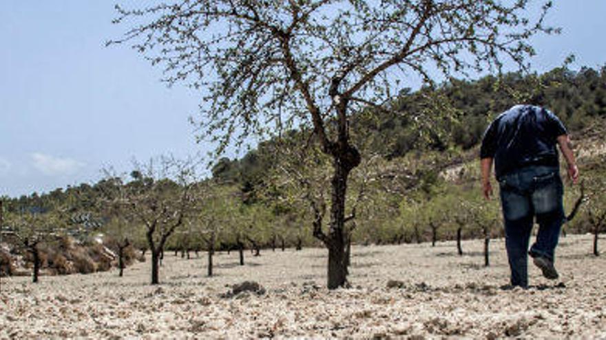 La sequía dispara un 73% el uso de agua depurada para la agricultura