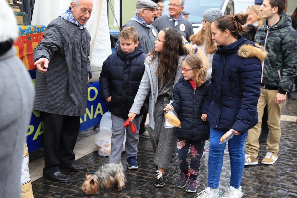 Bendición de animales en Paterna.