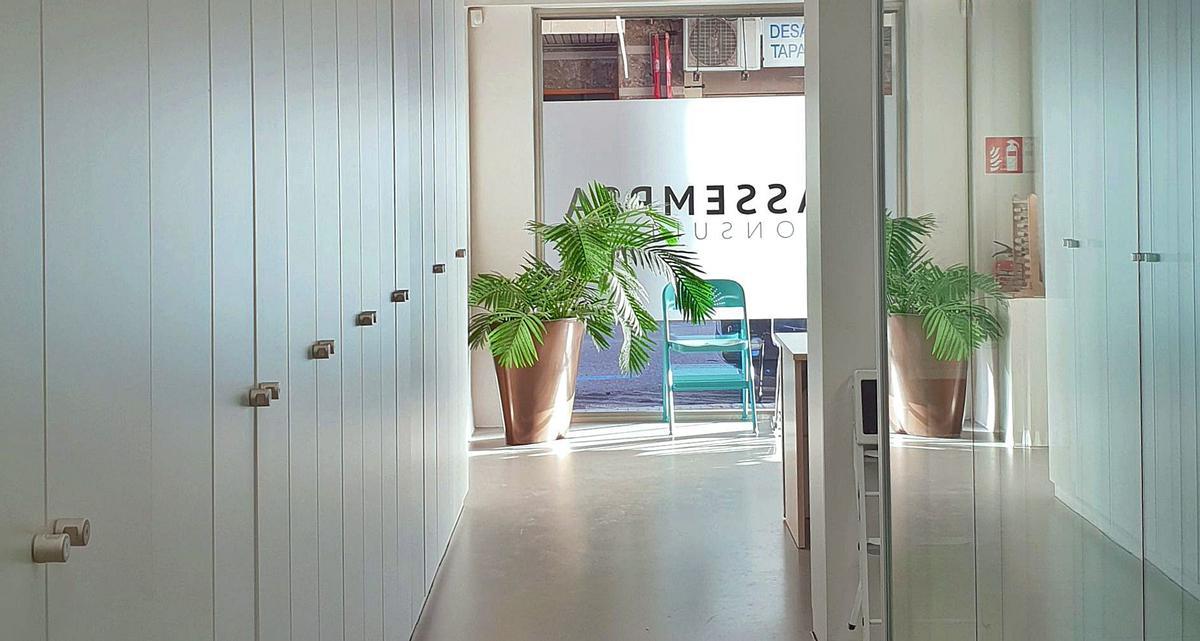 Oficinas con divisiones a base de vidrio, aluminio y paneles de madera en blanco. |