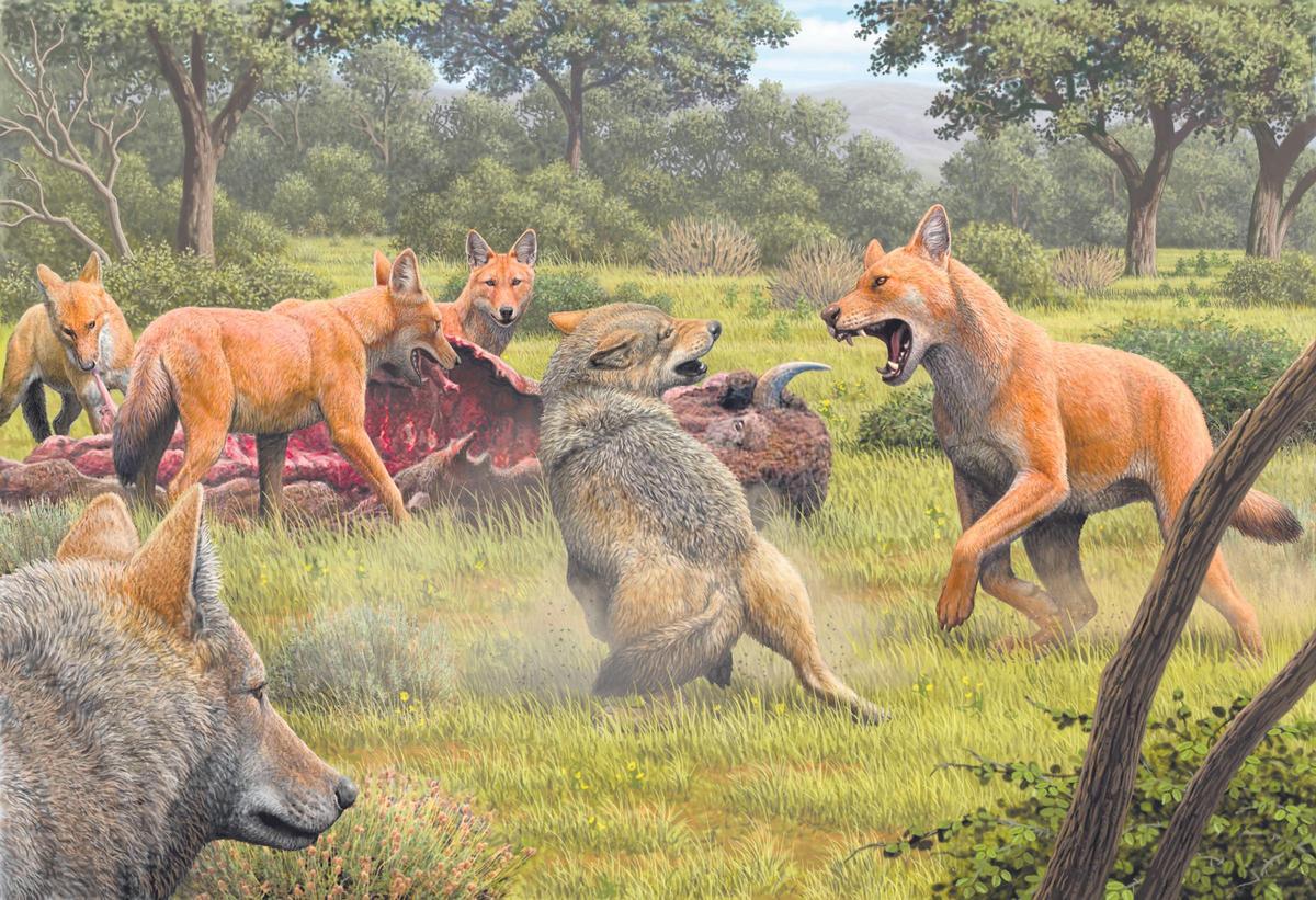 Ilustración de Mauricio Antón para la revista ‘Nature’.