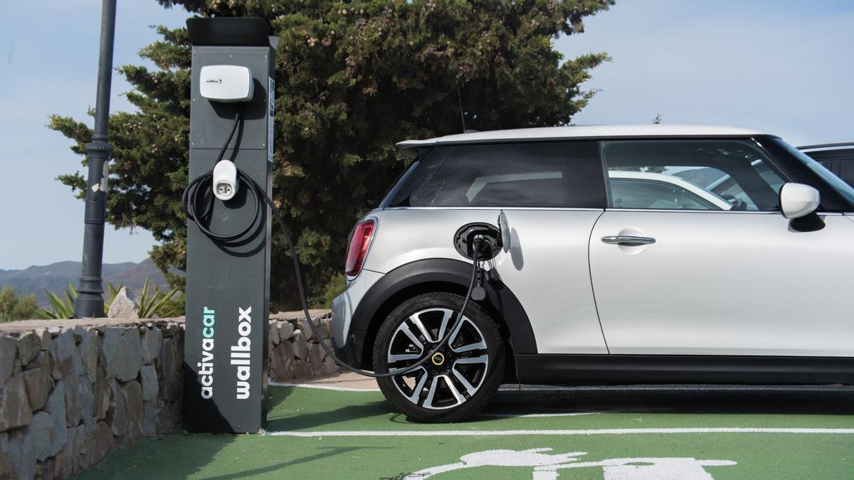 Cargador eléctrico.