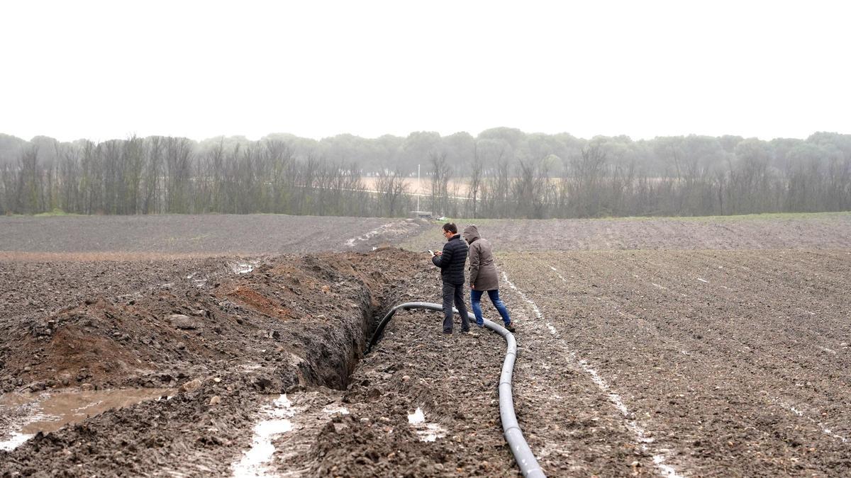 Zanja que ha destruido 250 metros del yacimiento de Pintia.