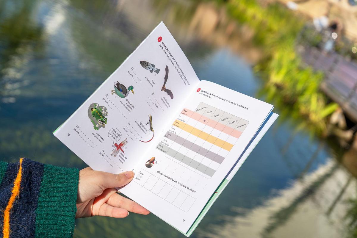 El quadern sobre l'Albufera incorpora il·lustracions, textos i exercicis científics.