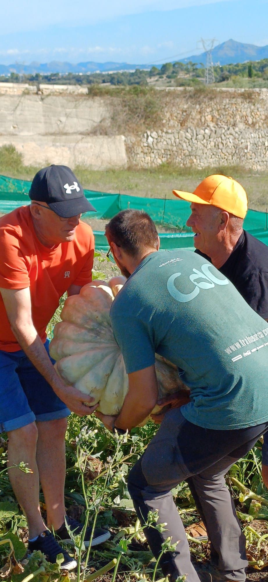 FOTOS | Muro recoge las calabazas sembradas en la finca experimental