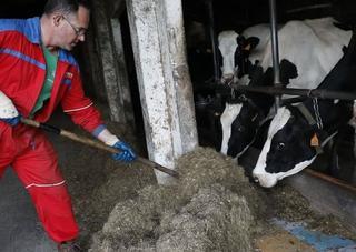 La eterna “guerra de la leche” se recrudece: “Íbamos justos y ahora fatal”