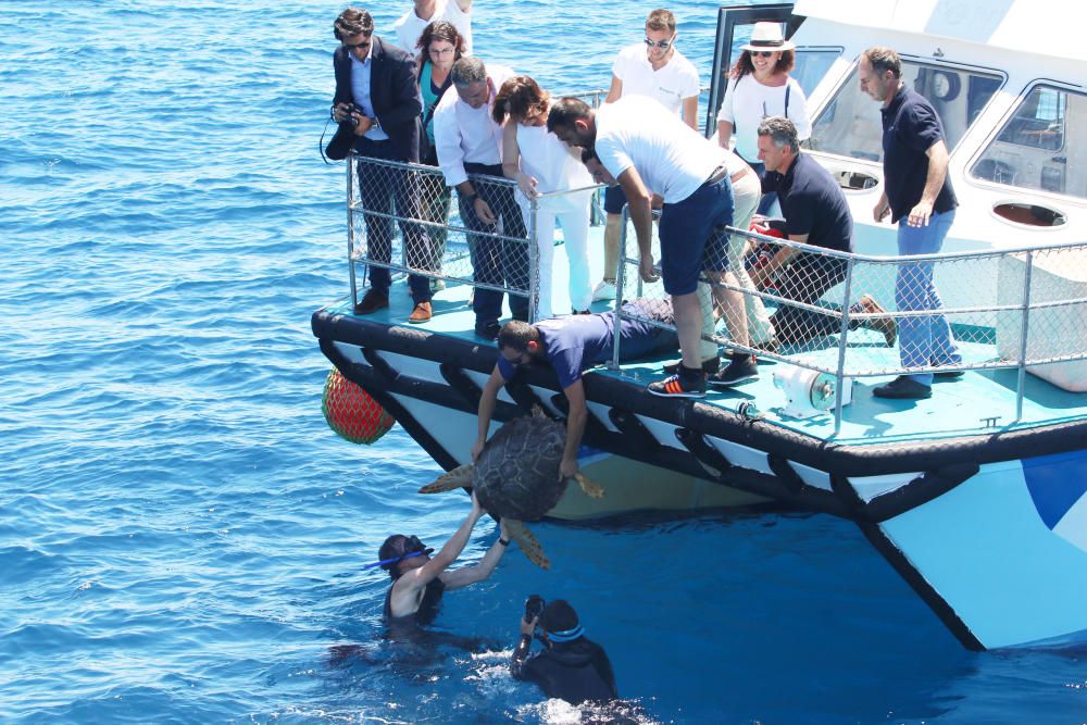 Sáenz de Santamaría participa en la suelta de una tortuga en Málaga