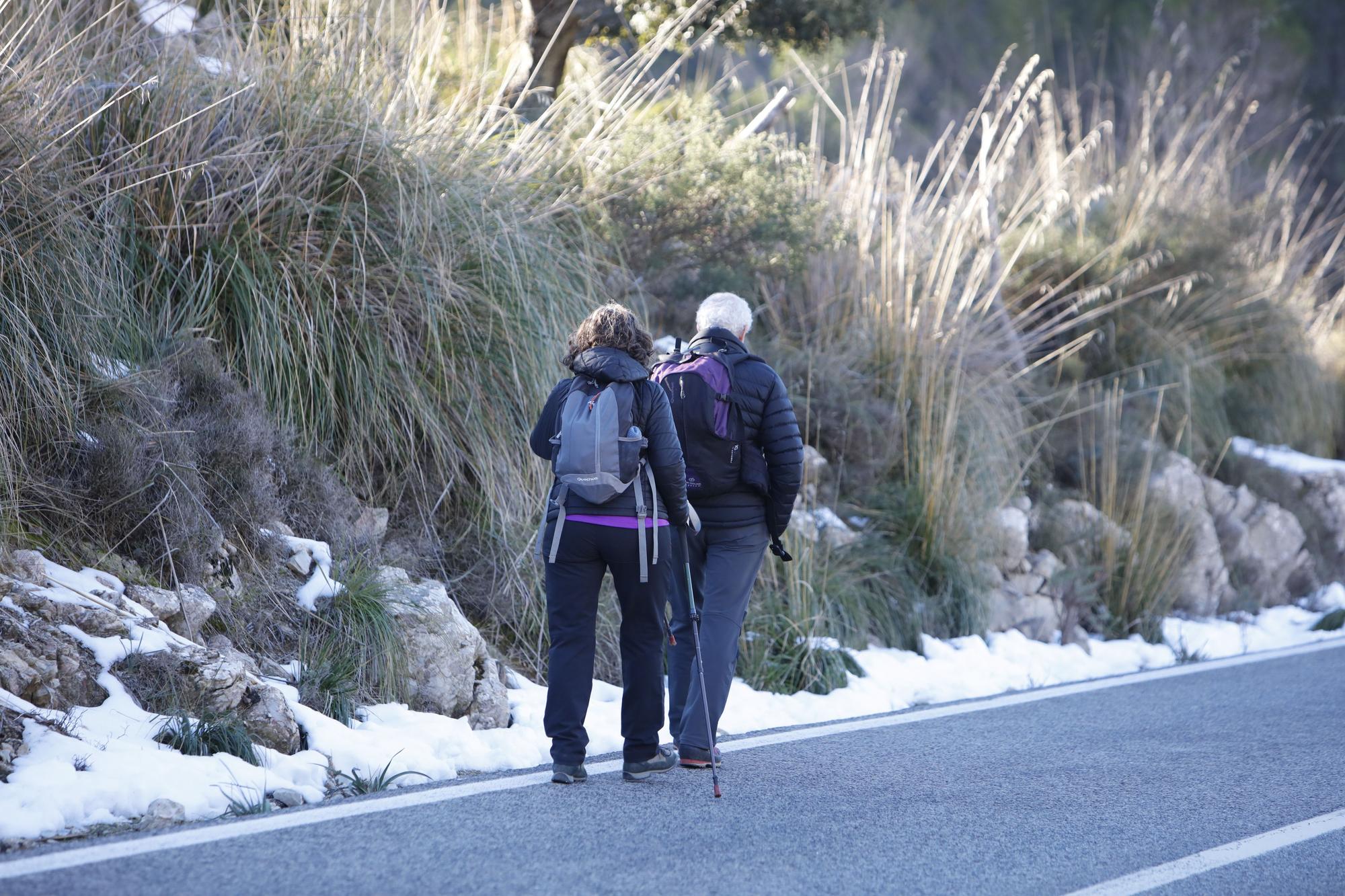 Schnee in der Tramuntana - Wanderung am Stausee Cúber auf Mallorca