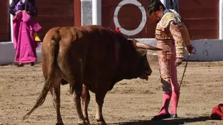 El novillero Manuel Román toca el cielo en Linares en su debut con caballos