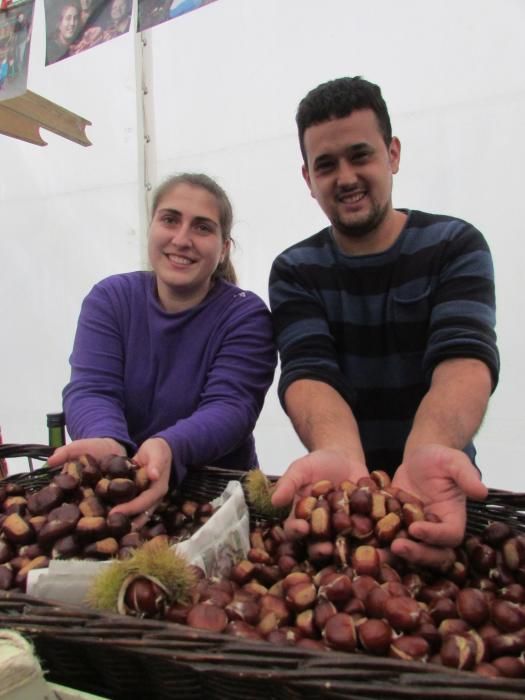 Certamen de la castaña en Arriondas