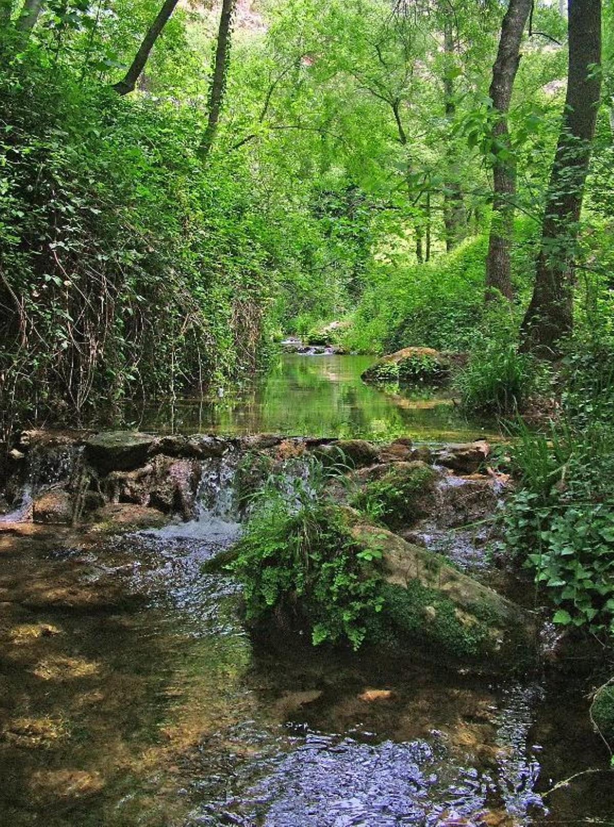 El Sendero Arroyo de la Ventilla, en Arriate, es una de las mejores rutas de Málaga para realizar en otoño
