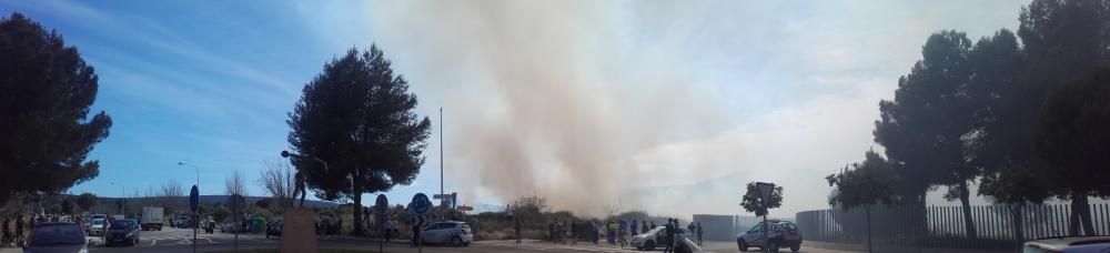 Alarma en Magaluf por un incendio en un descampado