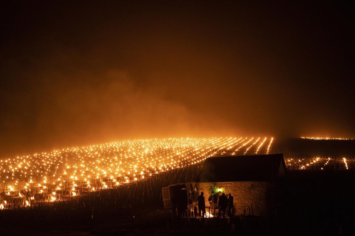 Viticultores franceses se refugian del frío y se calientan junto al fuego mientras centenares de calentadores queman en los viñedos, para protegerlos del frío y las heladas.