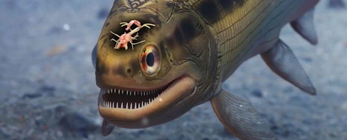 Descobreixen el possible cervell més antic de tots els vertebrats Descobreixen el possible cervell més antic de tots els vertebrats
