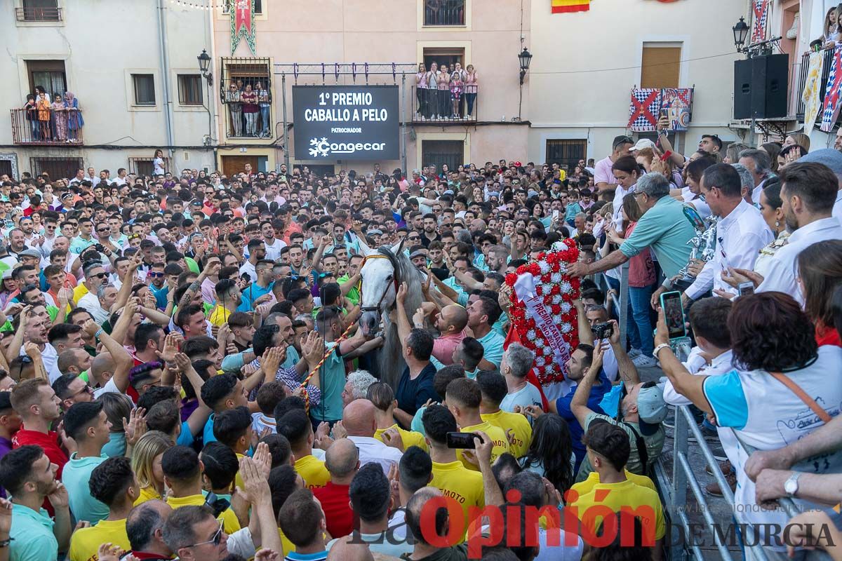 Entrega de premios del concurso morfológico de los Caballos del Vino de Caravaca