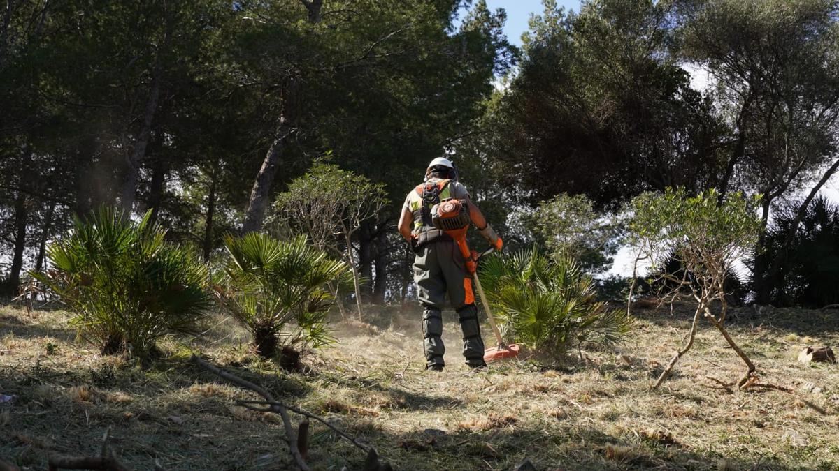 Un operario trabaja en el proyecto, este viernes en Alcúdia.