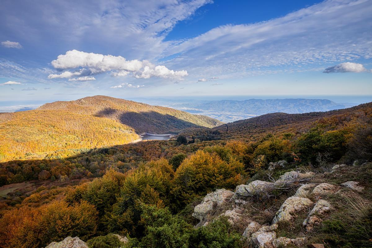 Un paraíso natural a solo unos minutos del centro de Barcelona