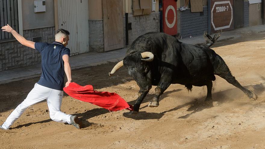 Tres toros de categoría ponen el punto y final en la celebración de la Sagrada Familia de la Vall d&#039;Uixó