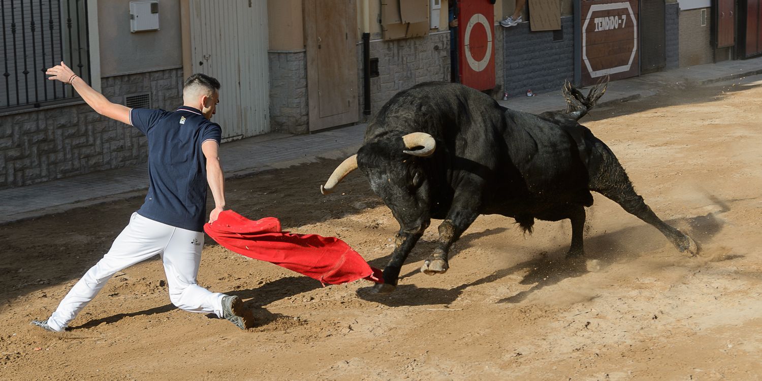 La bravura de los astados exhibidos ayer en la Vall d'Uixó dejó un buen sabor de boca entre los aficionados.