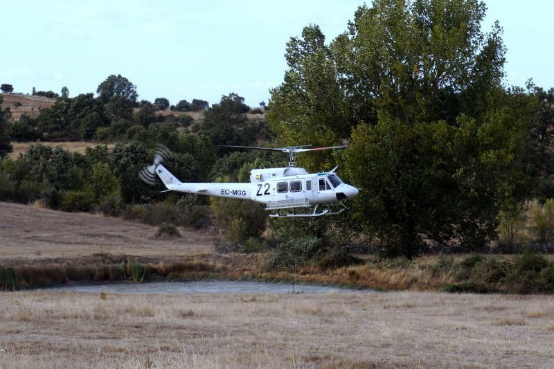 Imágenes del incendio forestal de Grisuela.