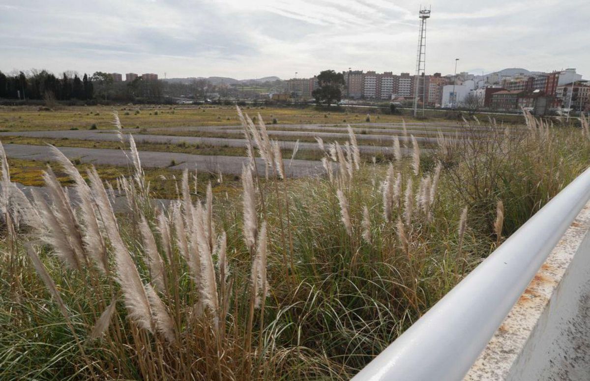 La salida de Blanco en Sepides desata la inquietud en la comarca