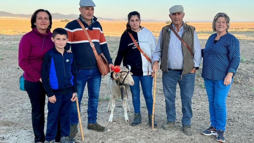 La trashumancia: 40 días con 1.700 ovejas de Extremadura a León