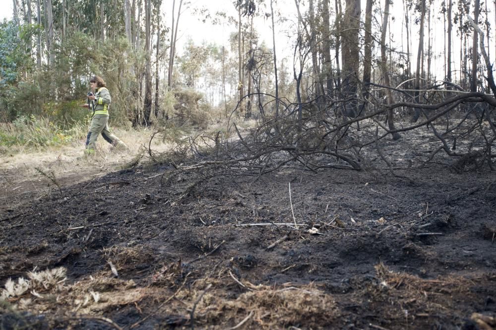 El día después en A Zapateira tras el incendio