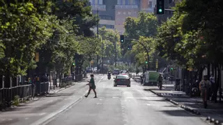 Cambiar de ubicación el carril bici de la avenida Valencia de Zaragoza obligará a talar 20 árboles