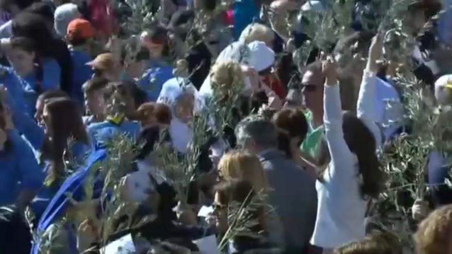 El papa Francisco bendice palmeras y ramas de olivo en la Plaza de San Pedro