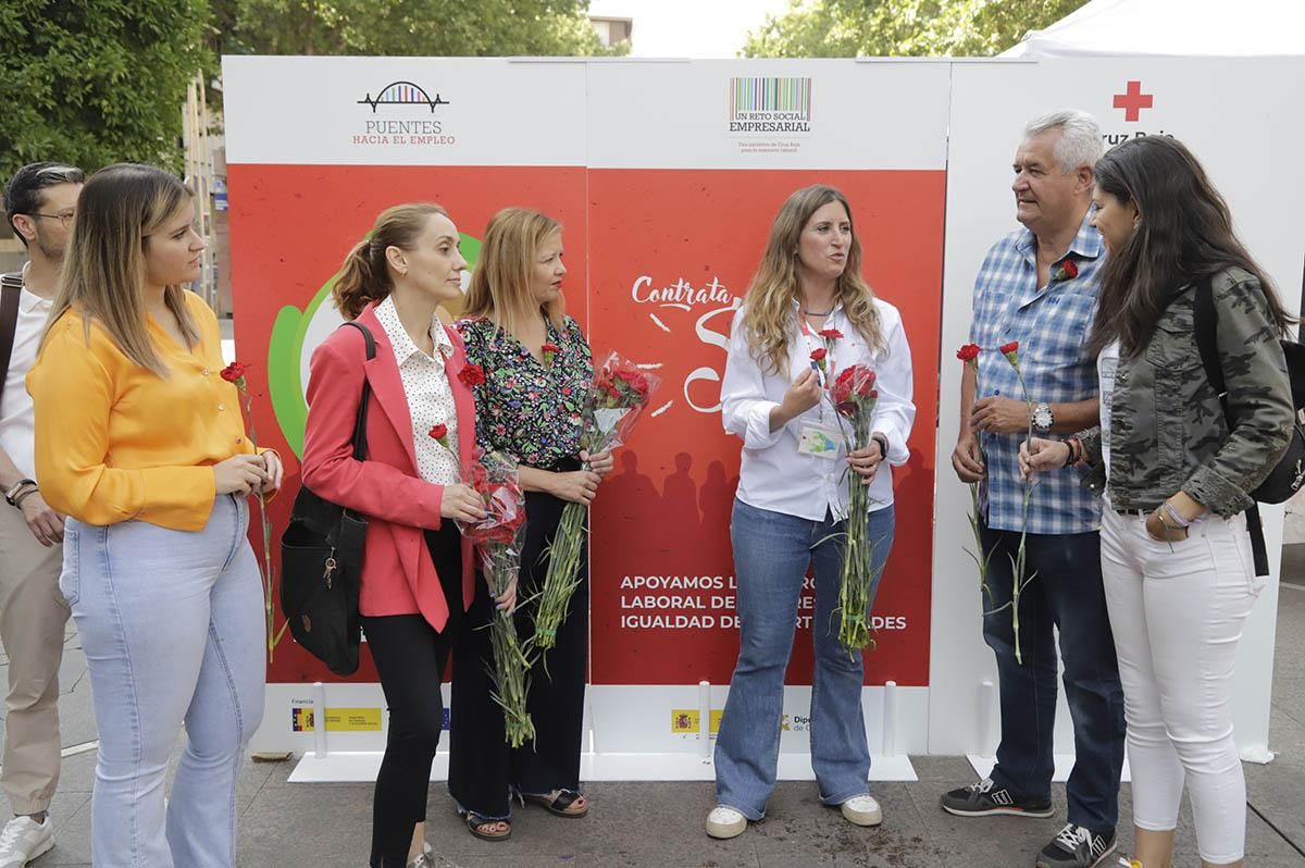 La campaña de Cruz Roja claveles por un trabajo igualitario, en imágenes