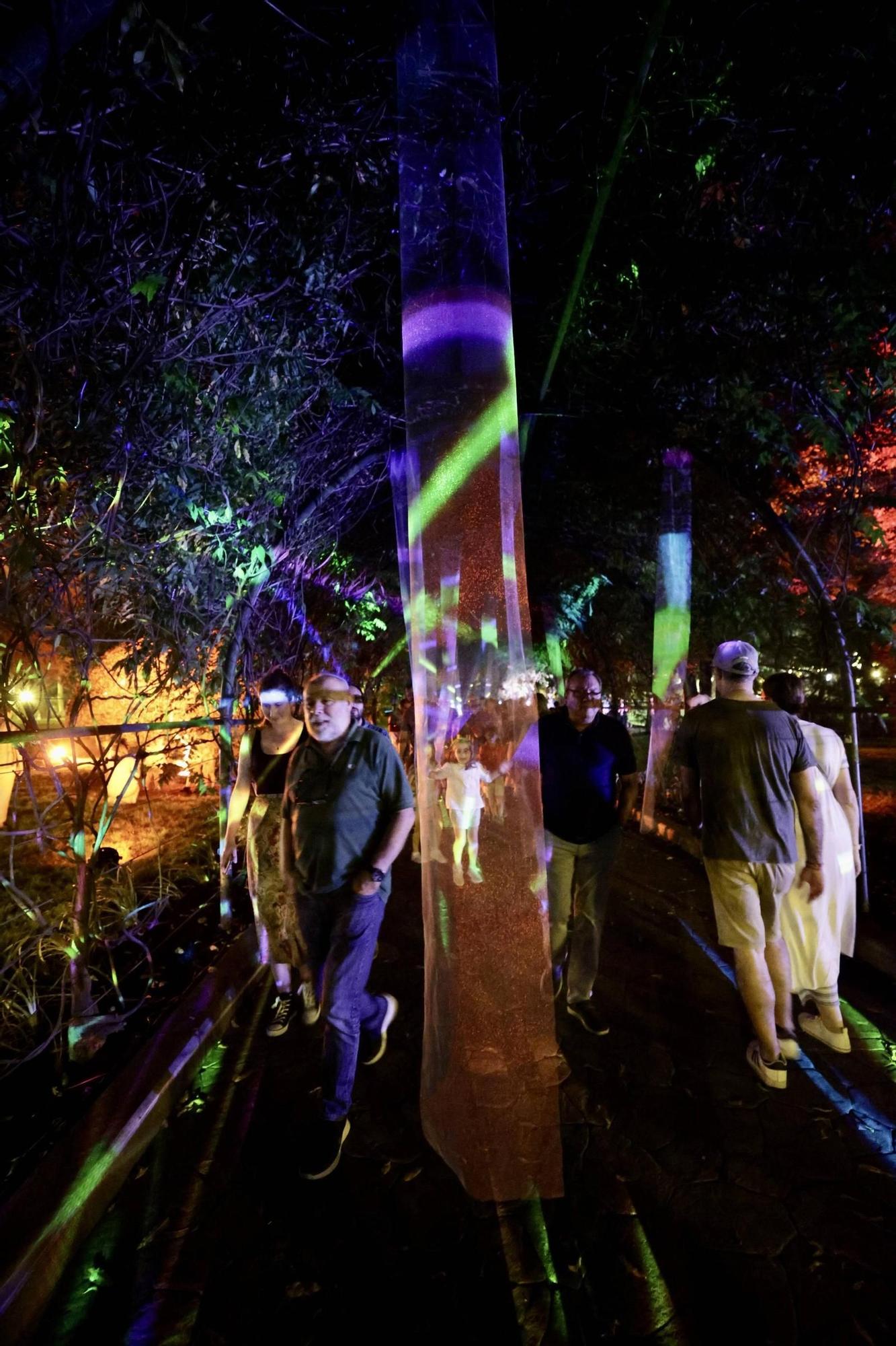 EN IMÁGENES Así fue la Noche Blanca en Oviedo España Times