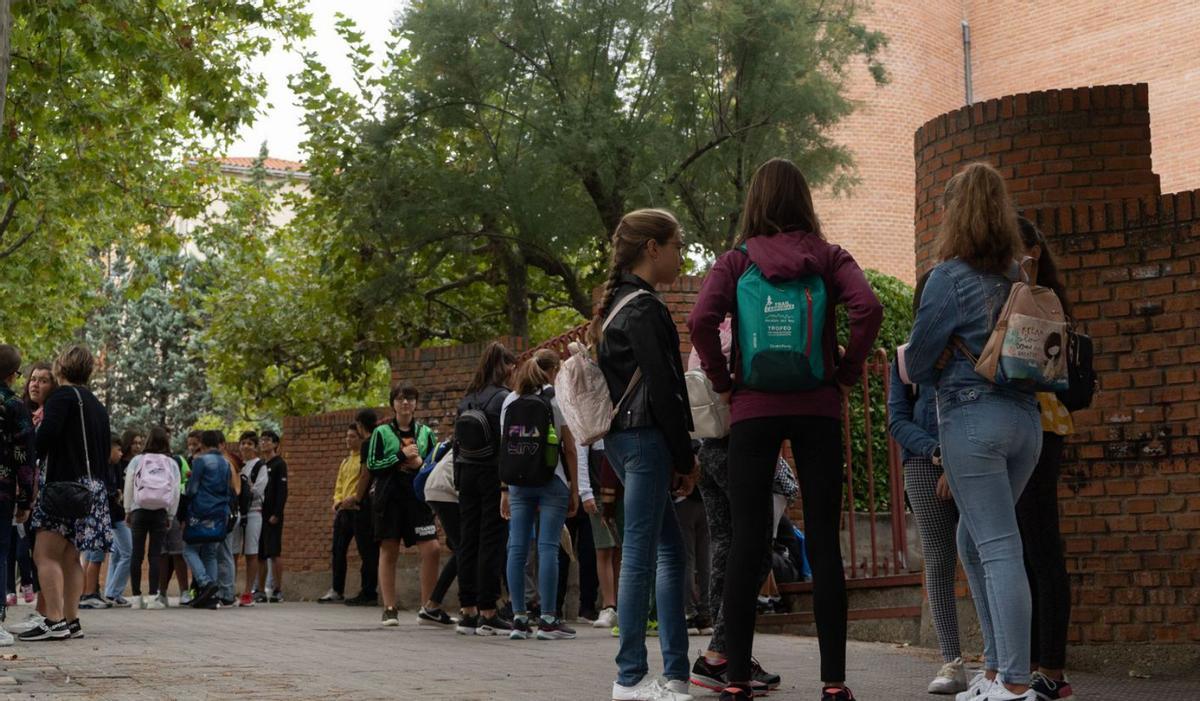 Un buen grupo de alumnos espera a las puertas del IES Maestro Haedo. | Jose Luis Fernández