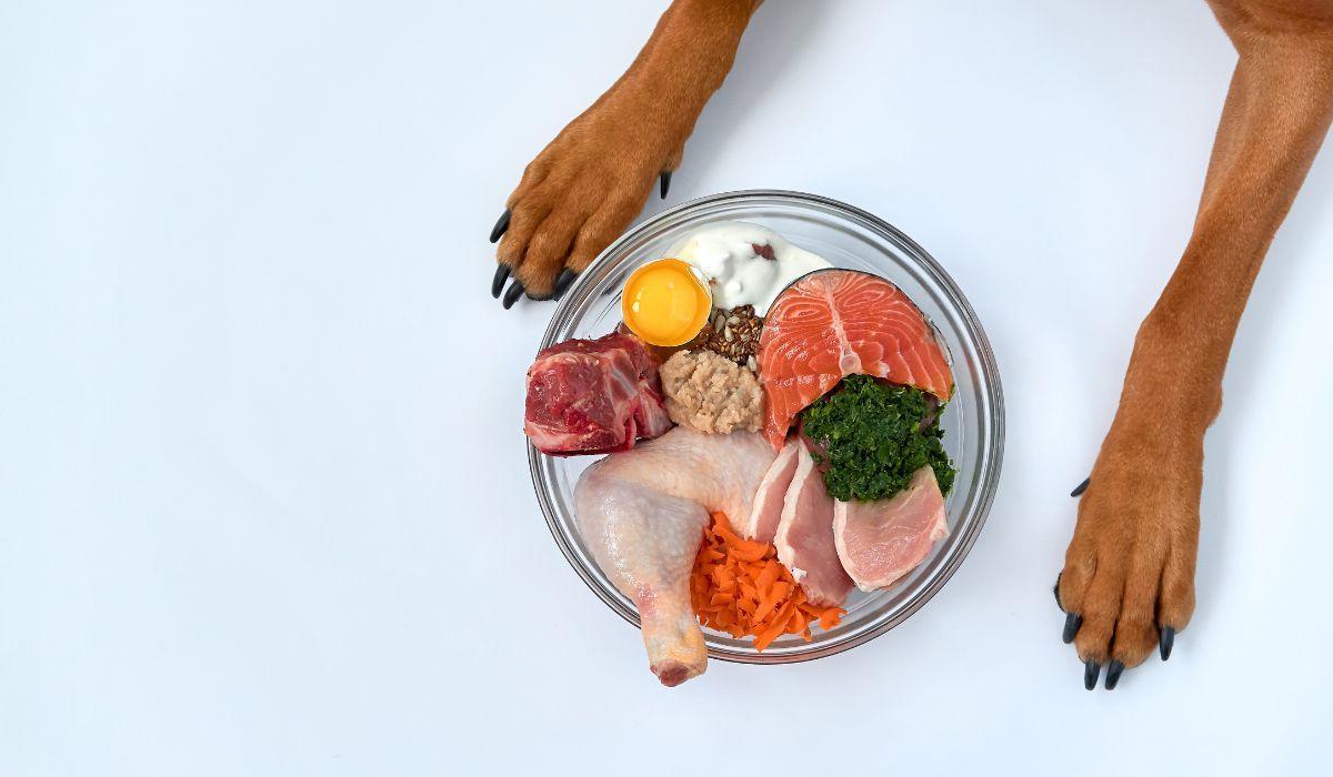 Manuel Manzano lo deja claro: estos alimentos pueden complementar la dieta de tu perro sin caer en las sobras