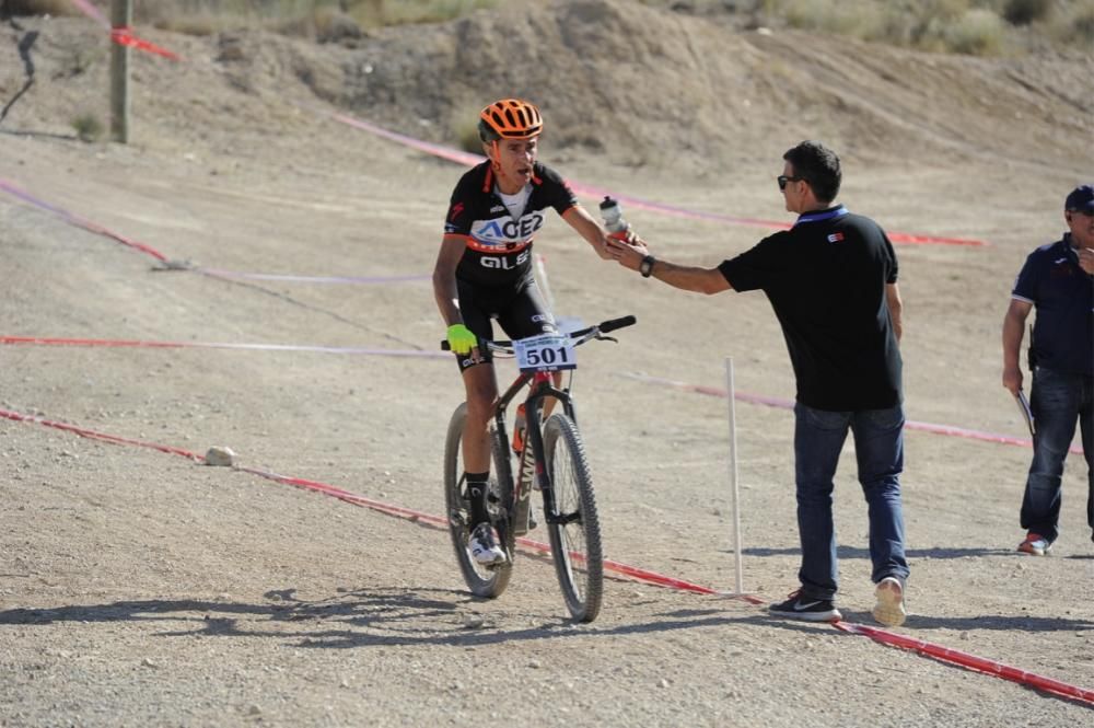 Mountain bike en Molina de Segura