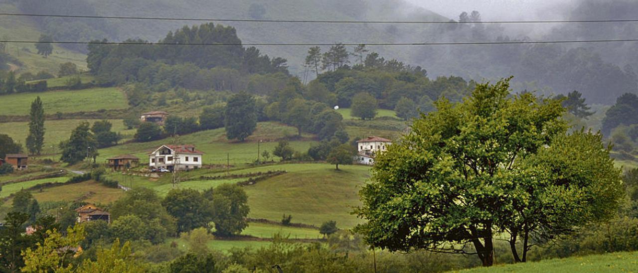 Las parroquias rurales afrontan sus elecciones con un 36% menos de vecinos y sin relevo