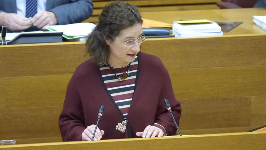 La portavoz de Medio Ambiente de Compromís, Graciela Ferrer